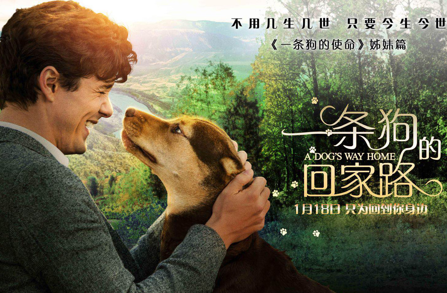 搶票丨電影《一條狗的回家路》全國免費(fèi)搶票